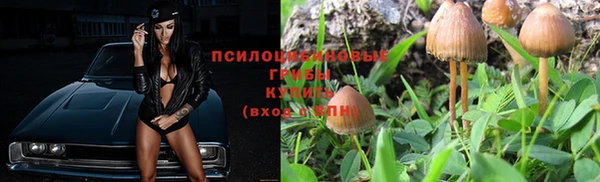 MESCALINE Инта