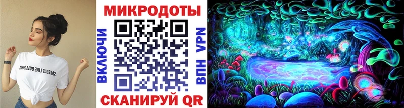 Купить  Сим  Галлюциногенные грибы GOLDEN TEACHER 